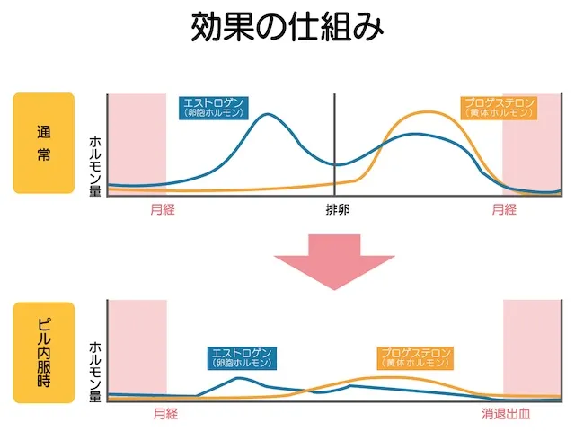 効果の仕組み